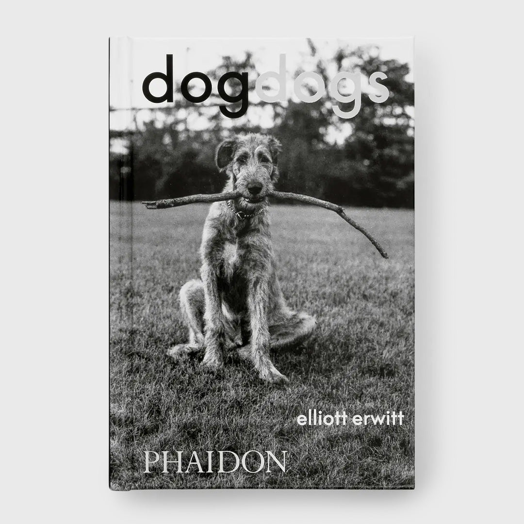 dogdogs – Moonlight Arts Collective