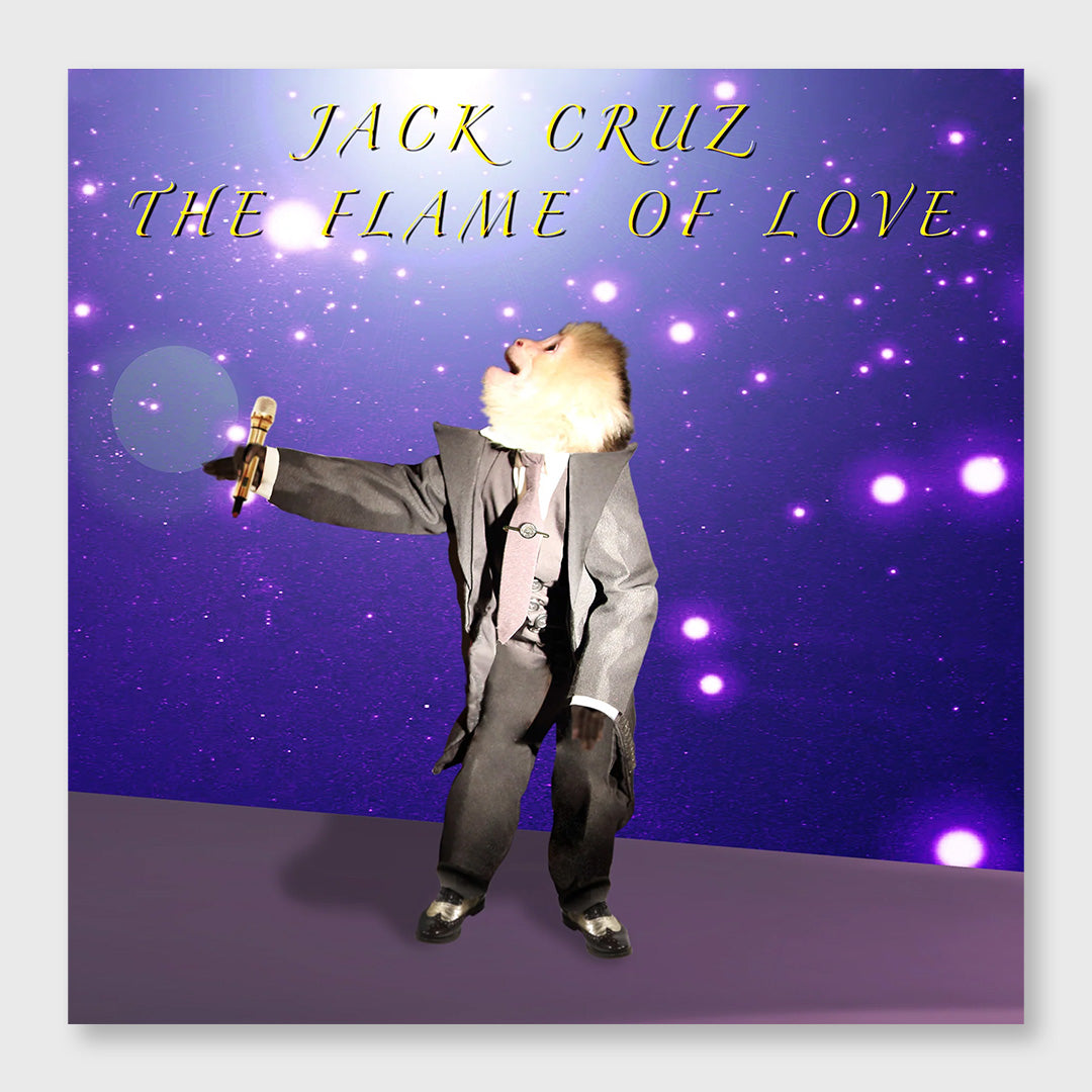 the flame of love - 7 inch purple big bang vinyl – Moonlight Arts