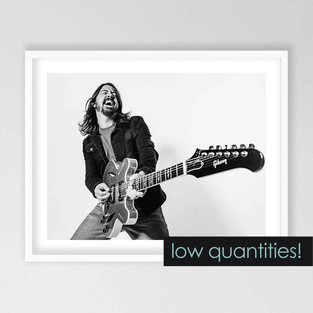 
                  
                    dave grohl - 24 x 19 inch - limited edition prints
                  
                