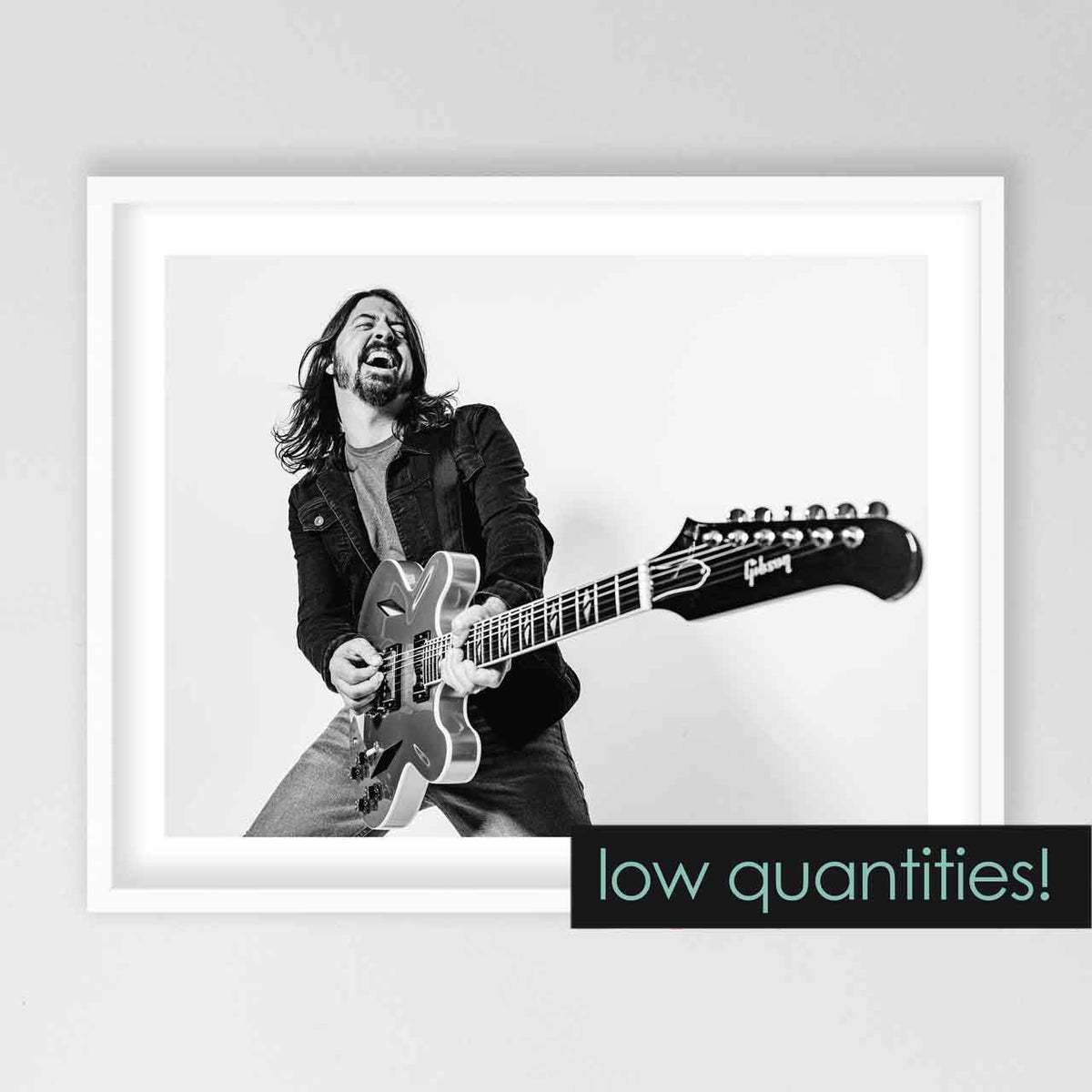 dave grohl - 24 x 19 inch - limited edition prints