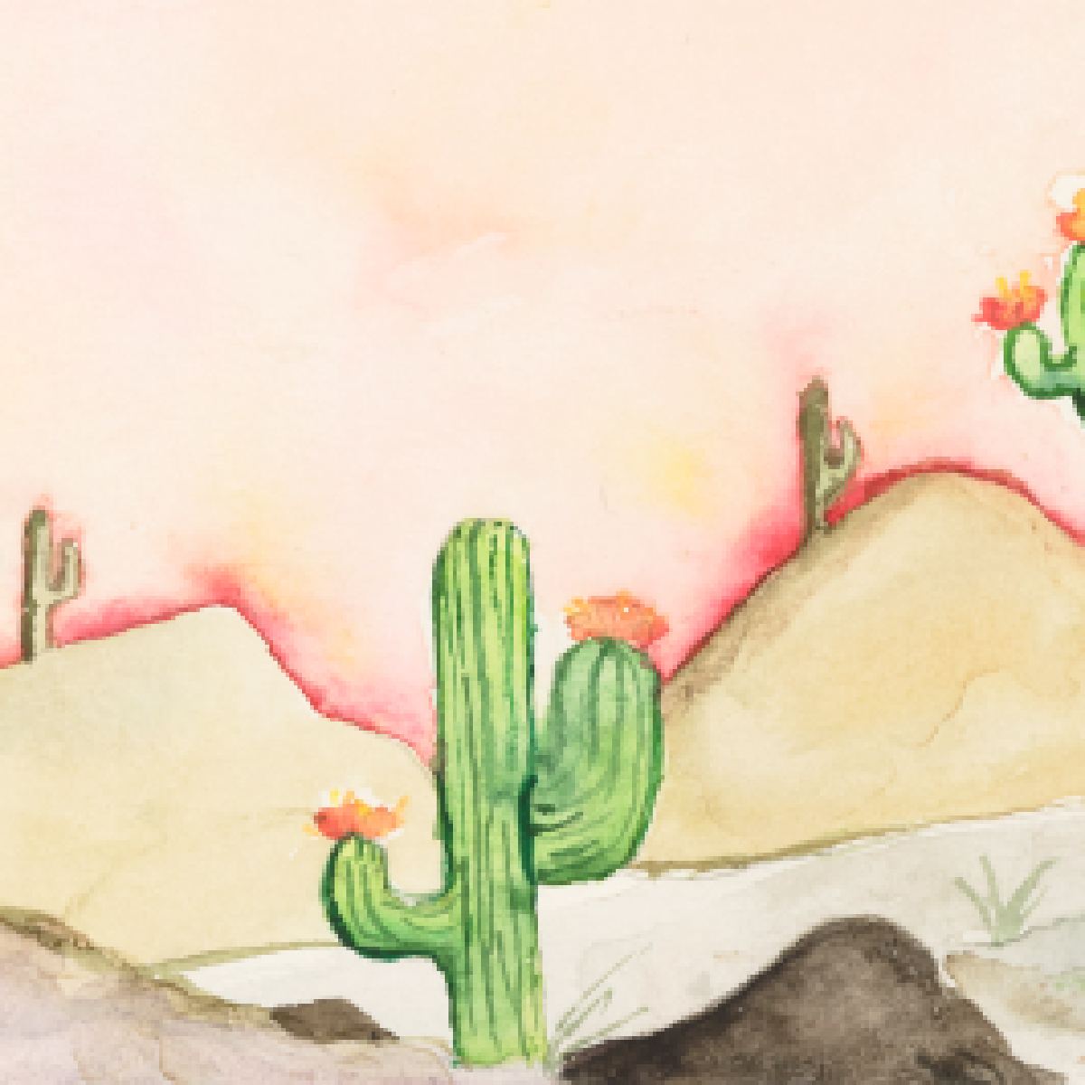 cactus under pink sky - original artwork