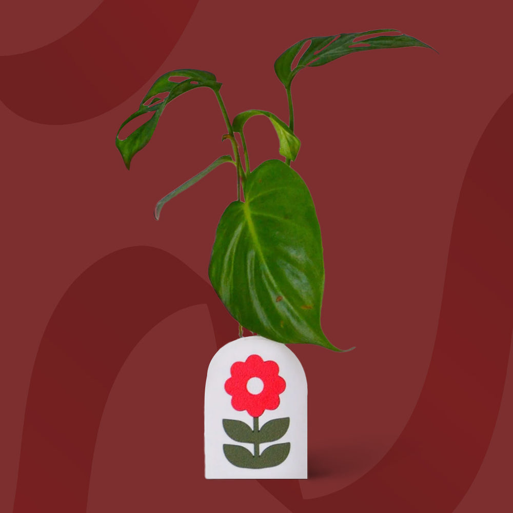 $15 - flower power propagation vase - red