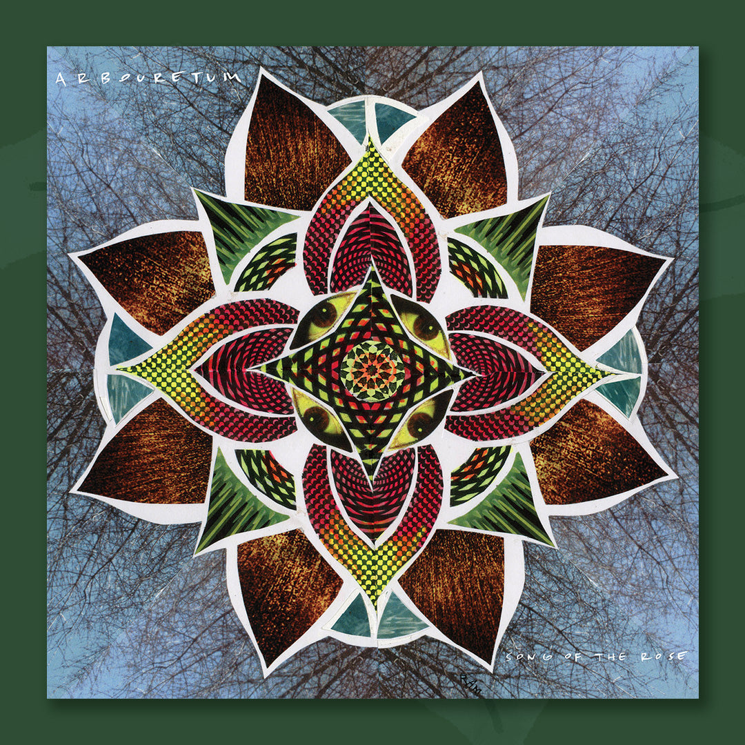 $15 - song of the rose - 12 inch vinyl