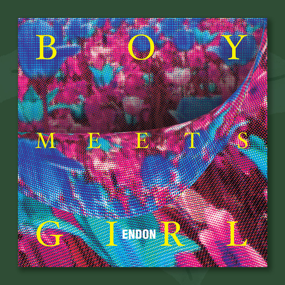 $15 - boy meets girl - raspberry vinyl