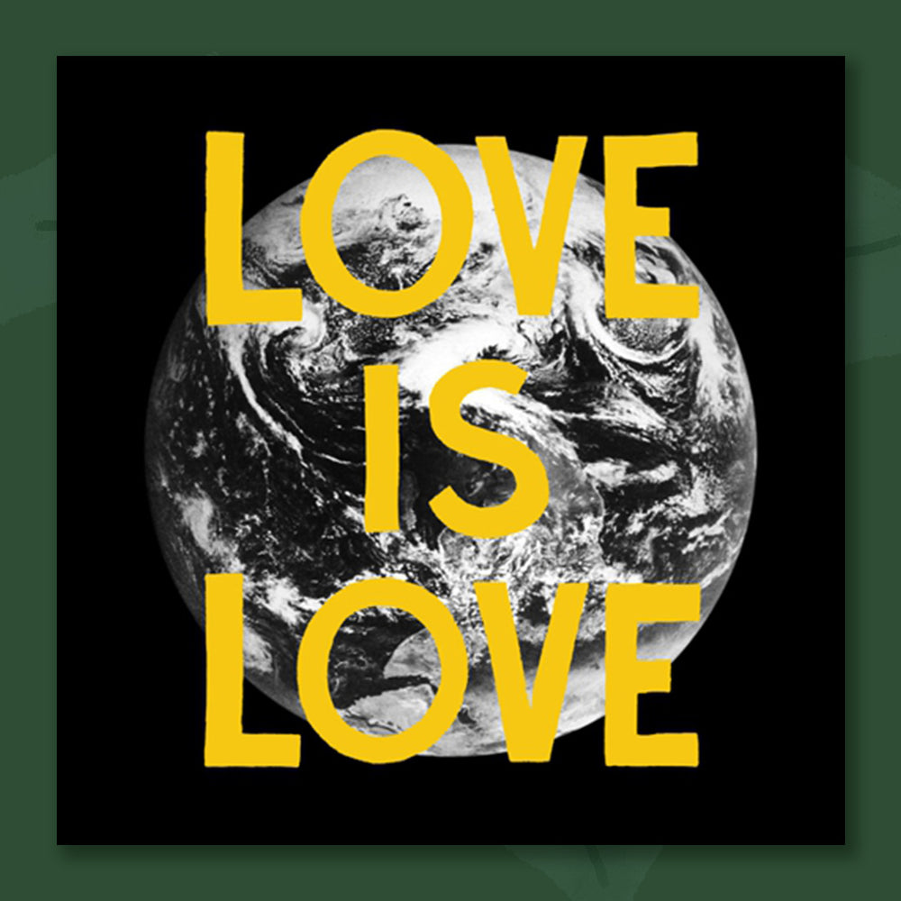 $10 - love is love - 12 inch vinyl