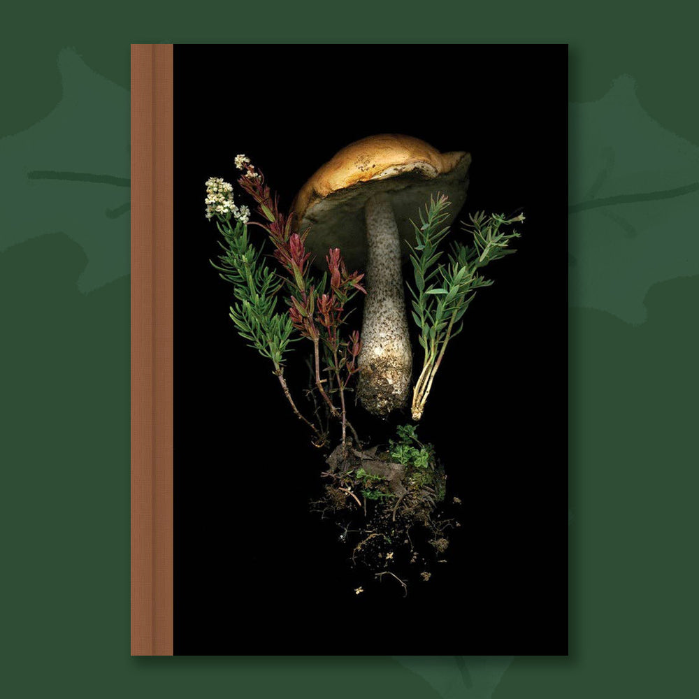 $5 - deep dark forest mushroom journal
