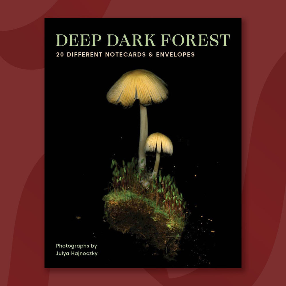 $10 - deep dark forest notes
