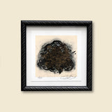 chaos in gold ii - 6 x 6 inch edition in stylized black frame