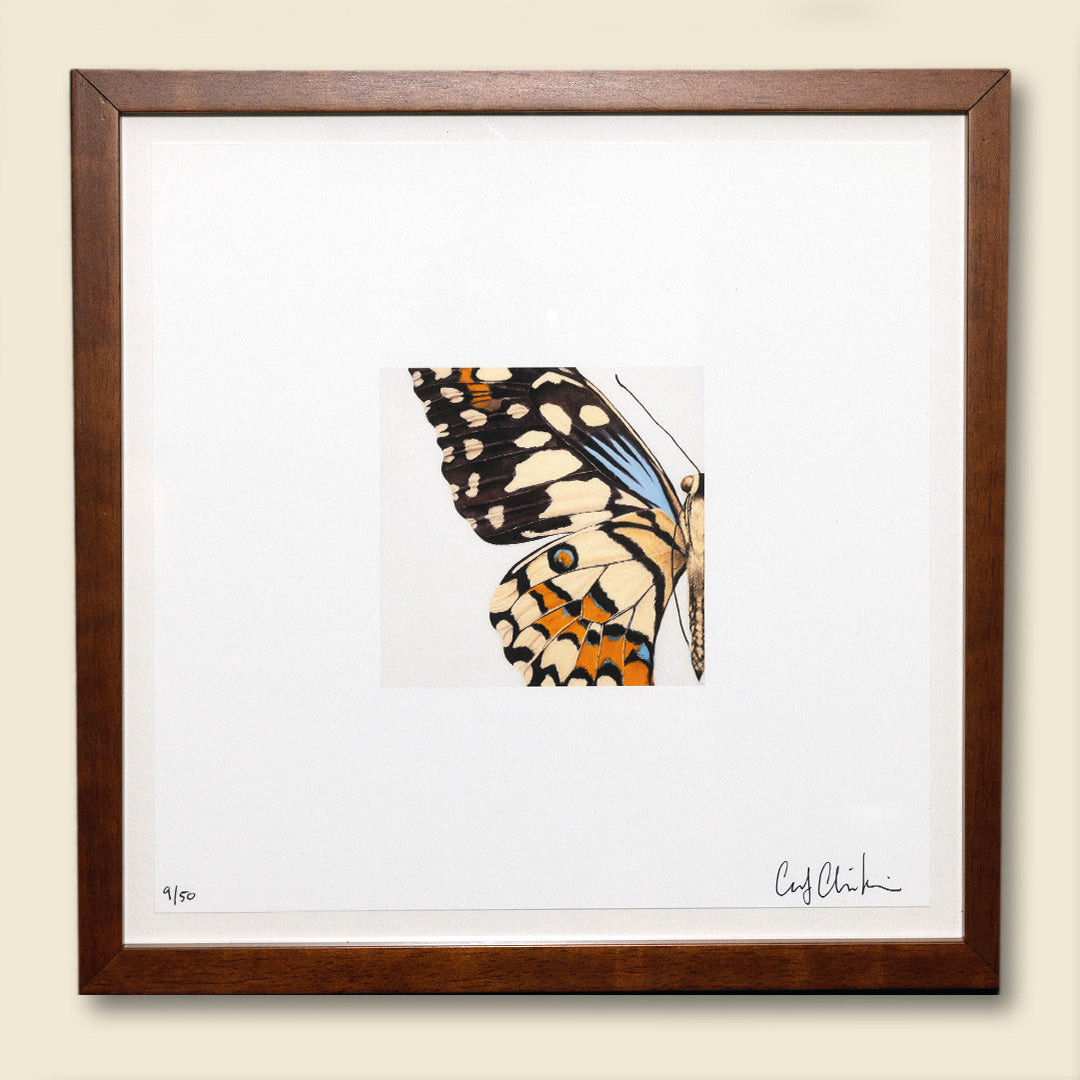 g-ma - 12 x 12 inch edition in simple brown frame