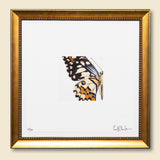 g-ma - 12 x 12 inch edition in stylized gold frame