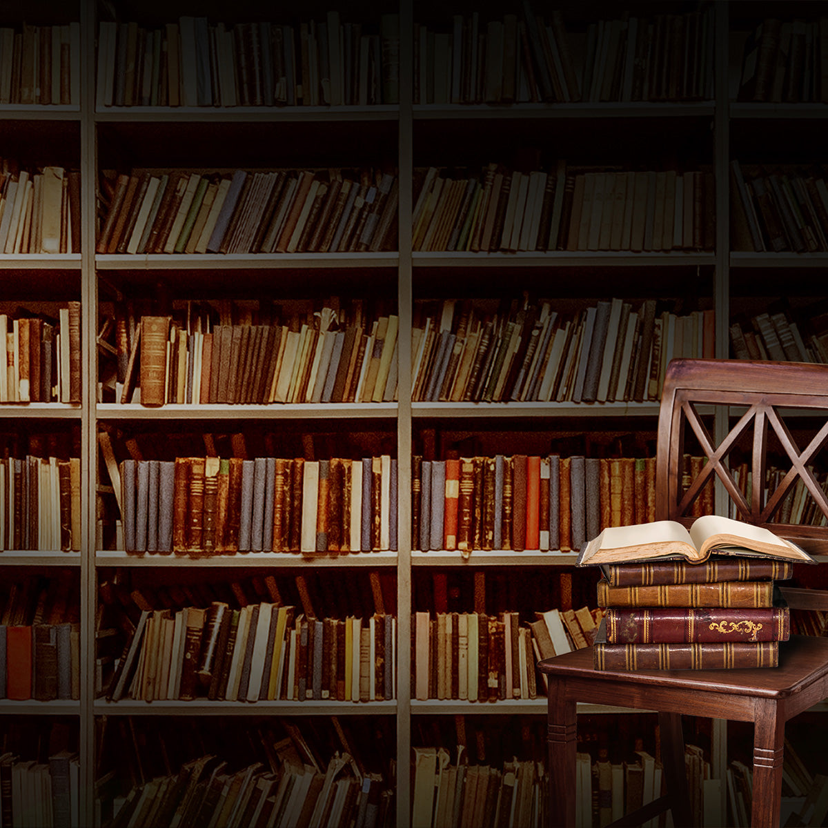 Moonlight Arts Collective