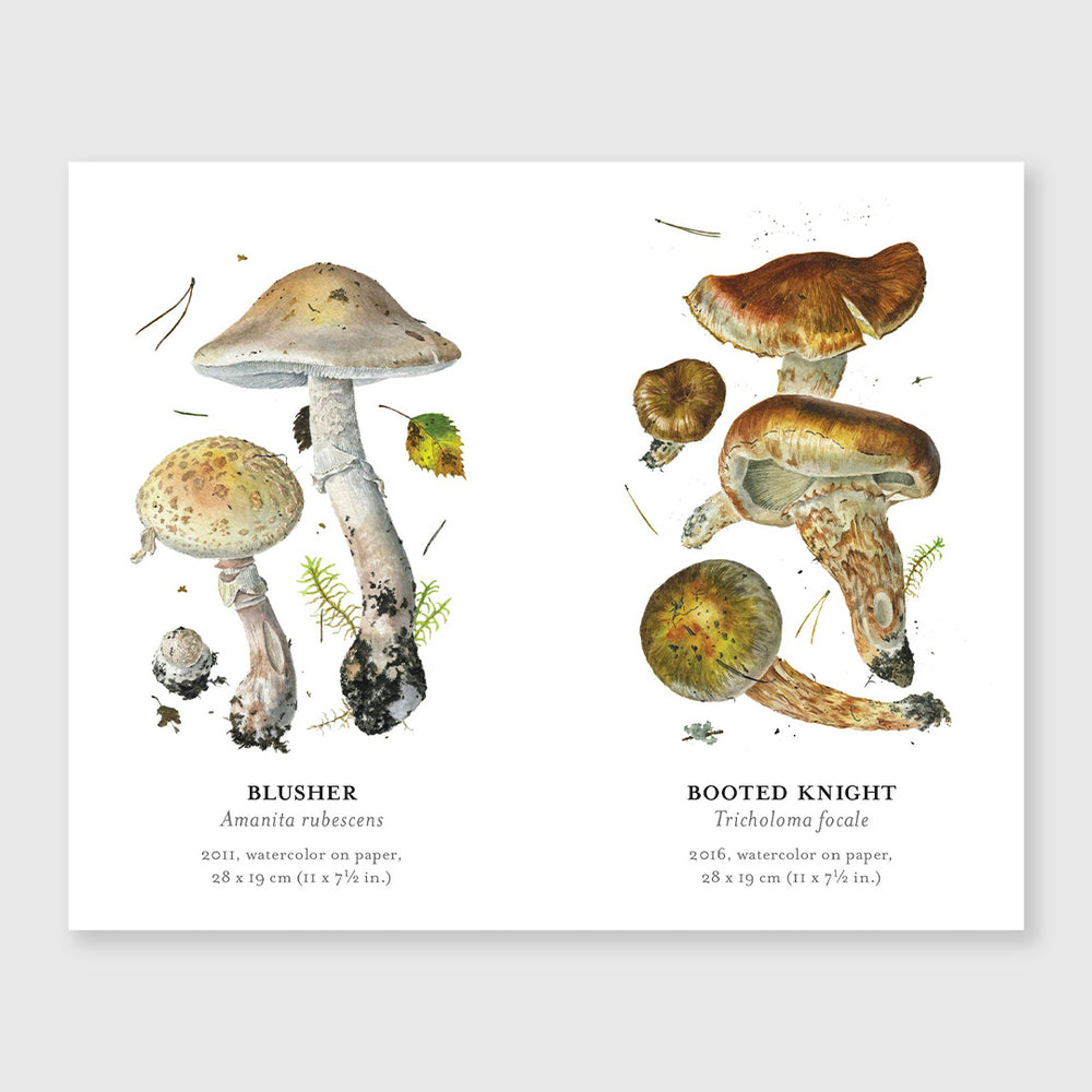 
                  
                    mushrooms memory game
                  
                