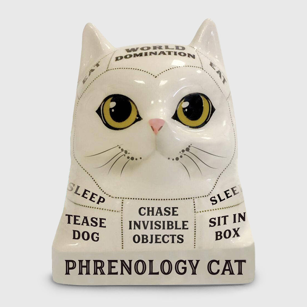 phrenology cat