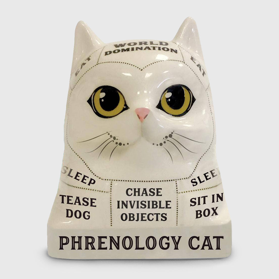 phrenology cat