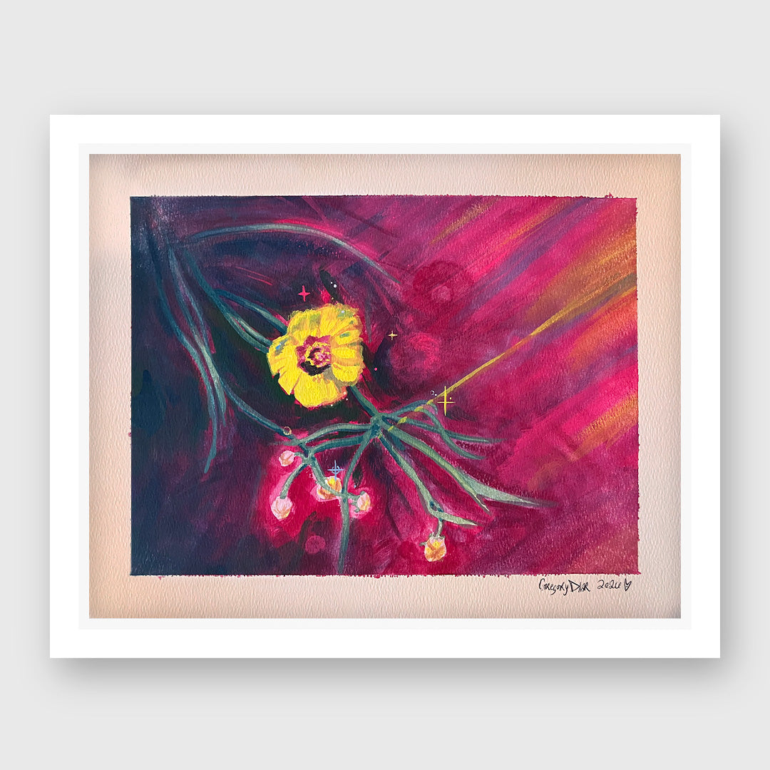 coreopsis