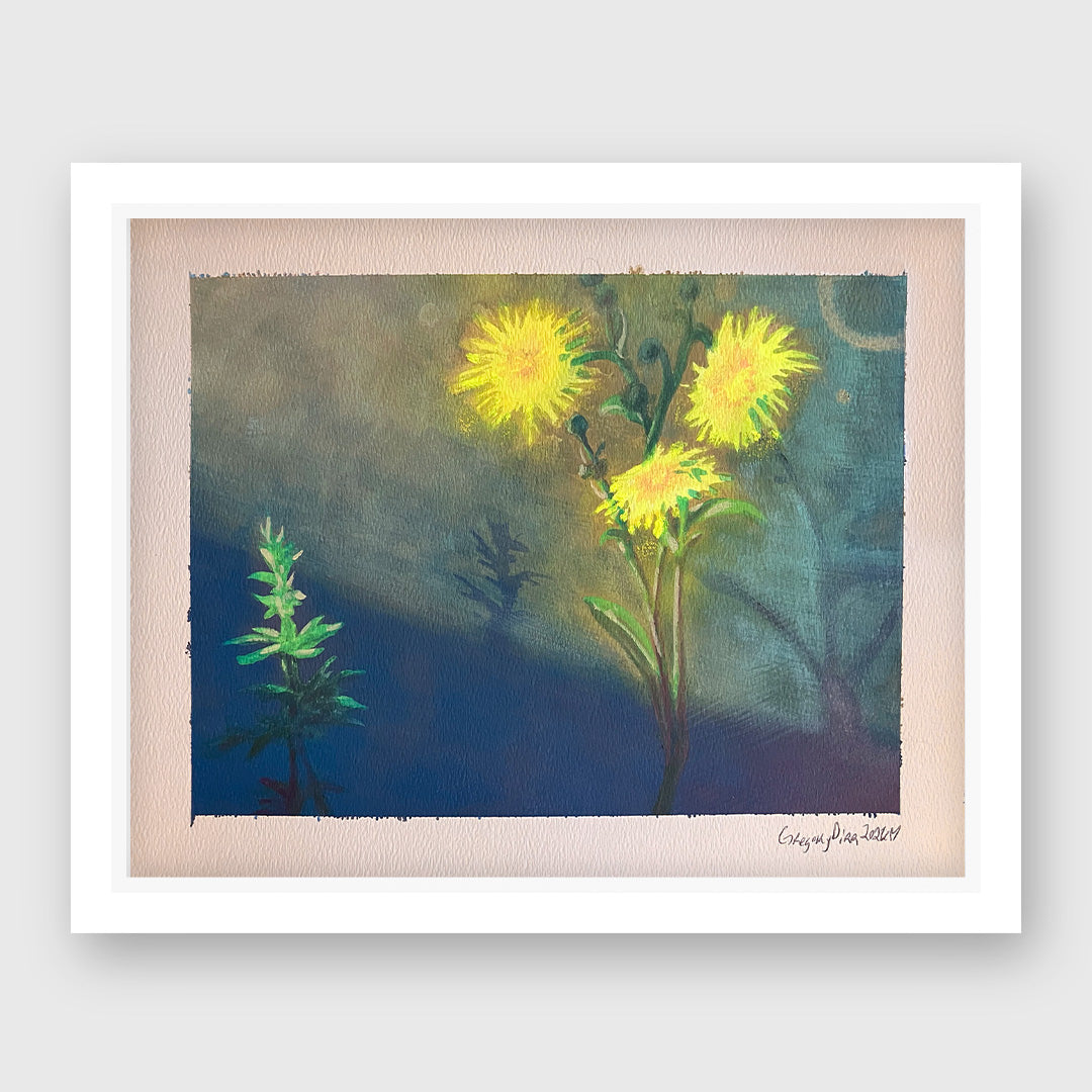 desert marigold