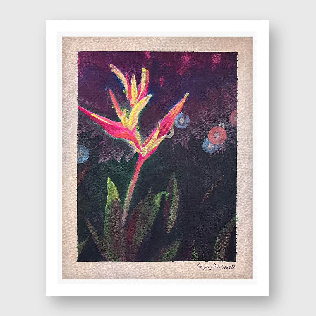 false bird-of-paradise