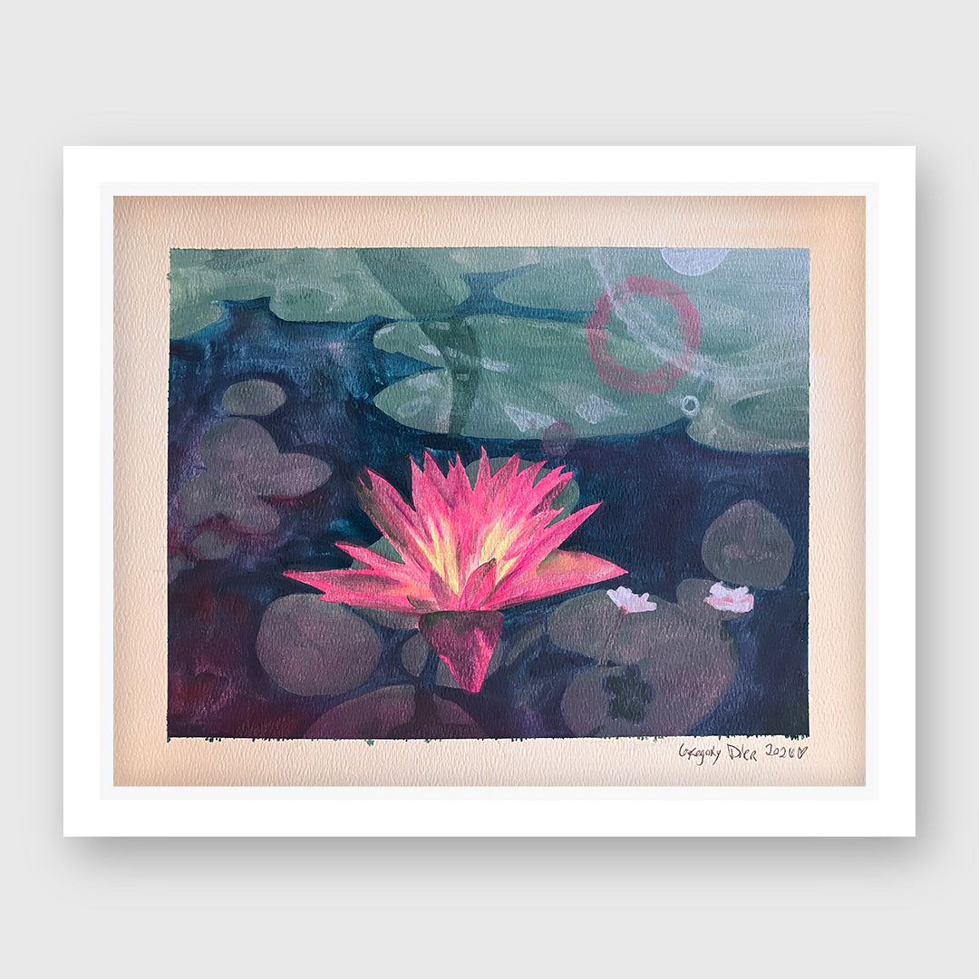 water lily