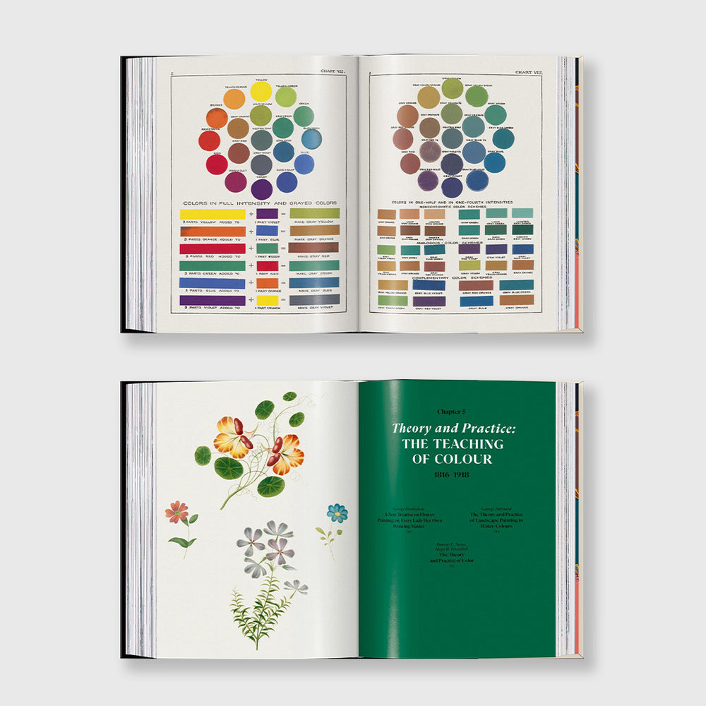 
                  
                    the book of colour concepts
                  
                