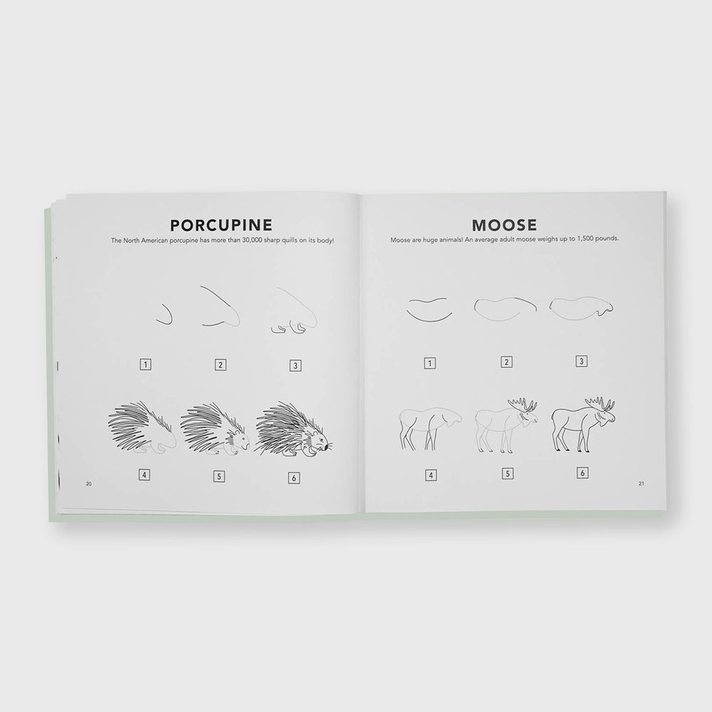 
                  
                    mushrooms & woodland creatures: how to draw book for kids
                  
                