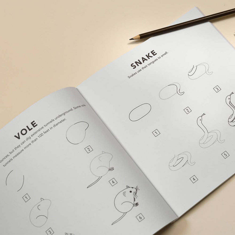 
                  
                    mushrooms & woodland creatures: how to draw book for kids
                  
                