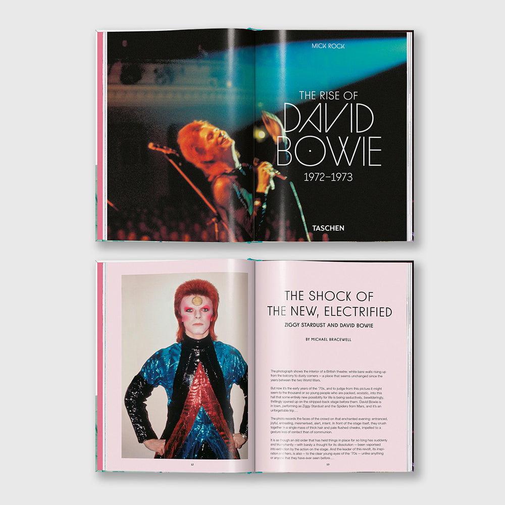 the rise of david bowie