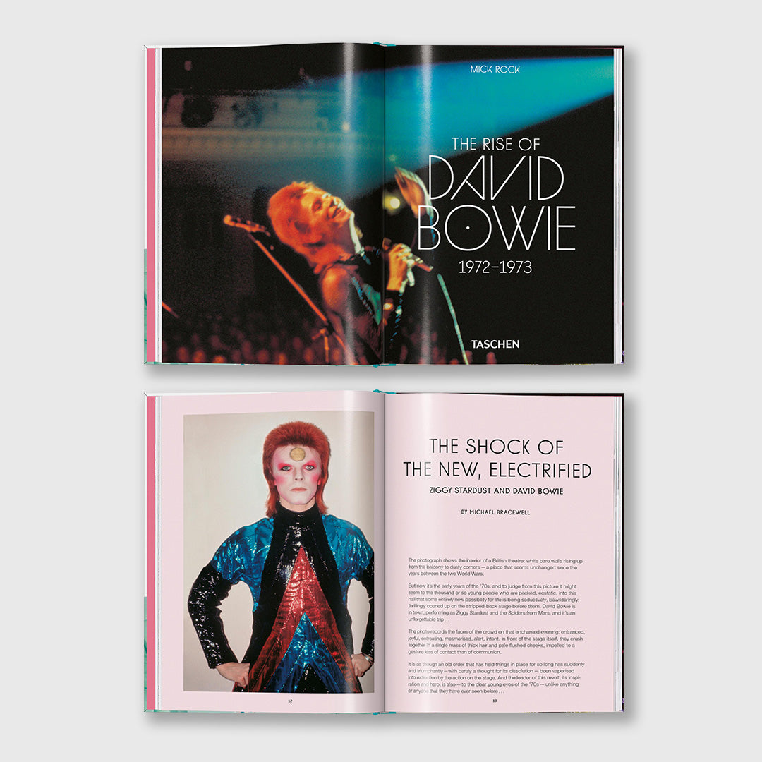 the rise of david bowie