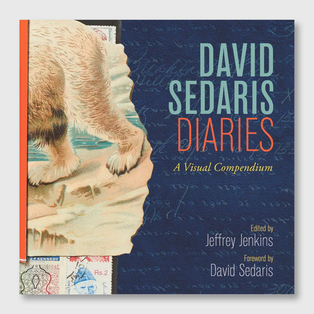 diaries a visual compendium