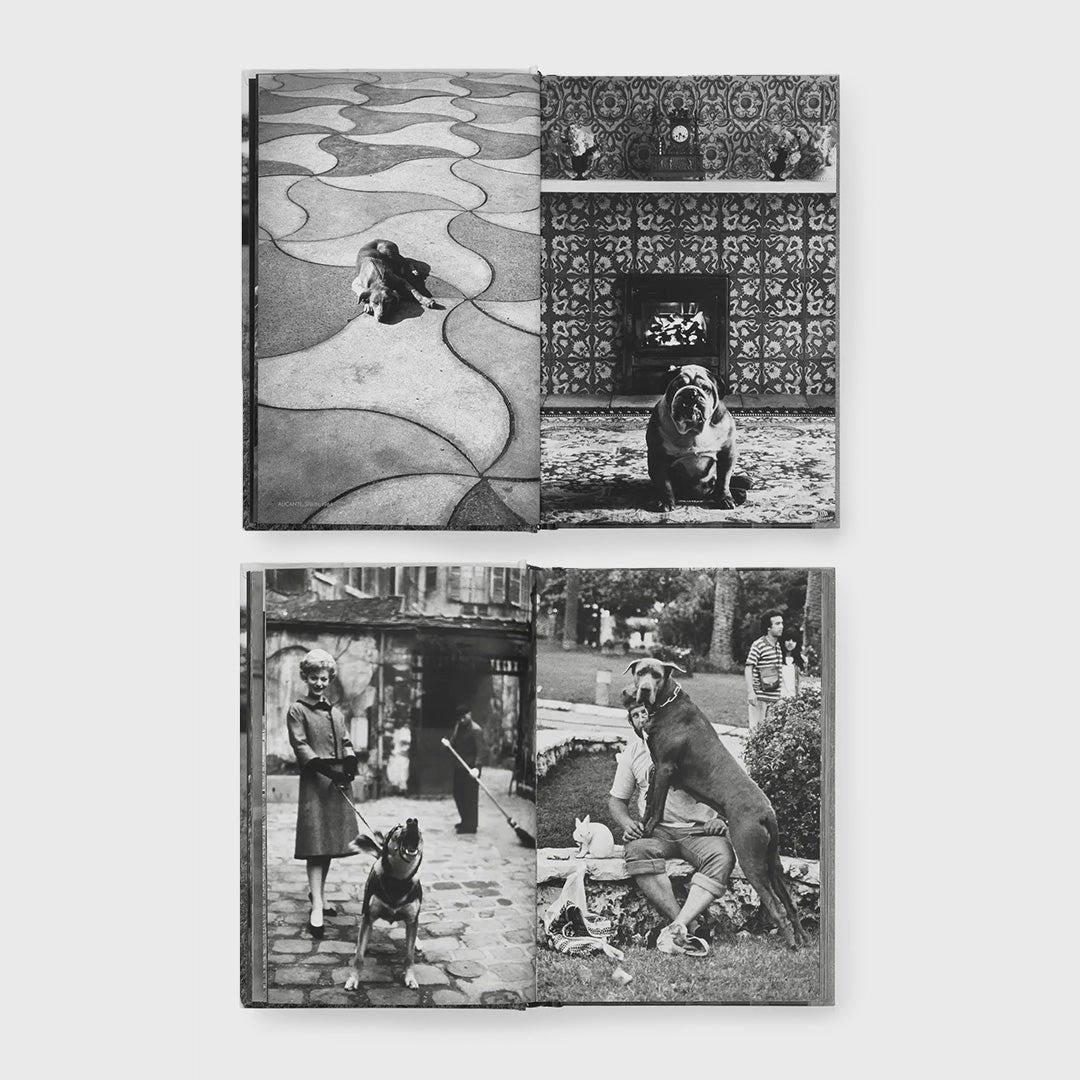 dogdogs – Moonlight Arts Collective