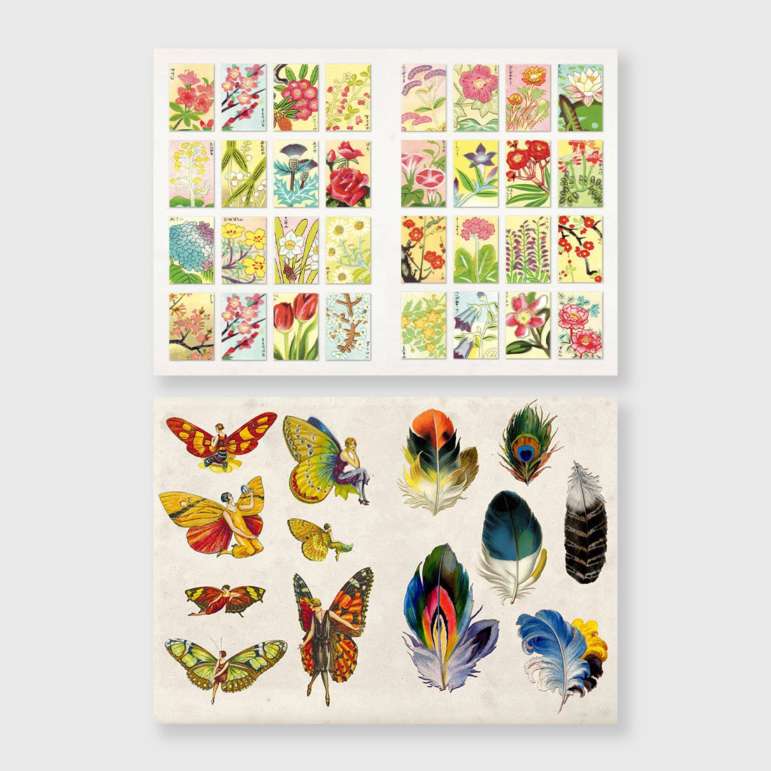 the curious collectibles sticker book