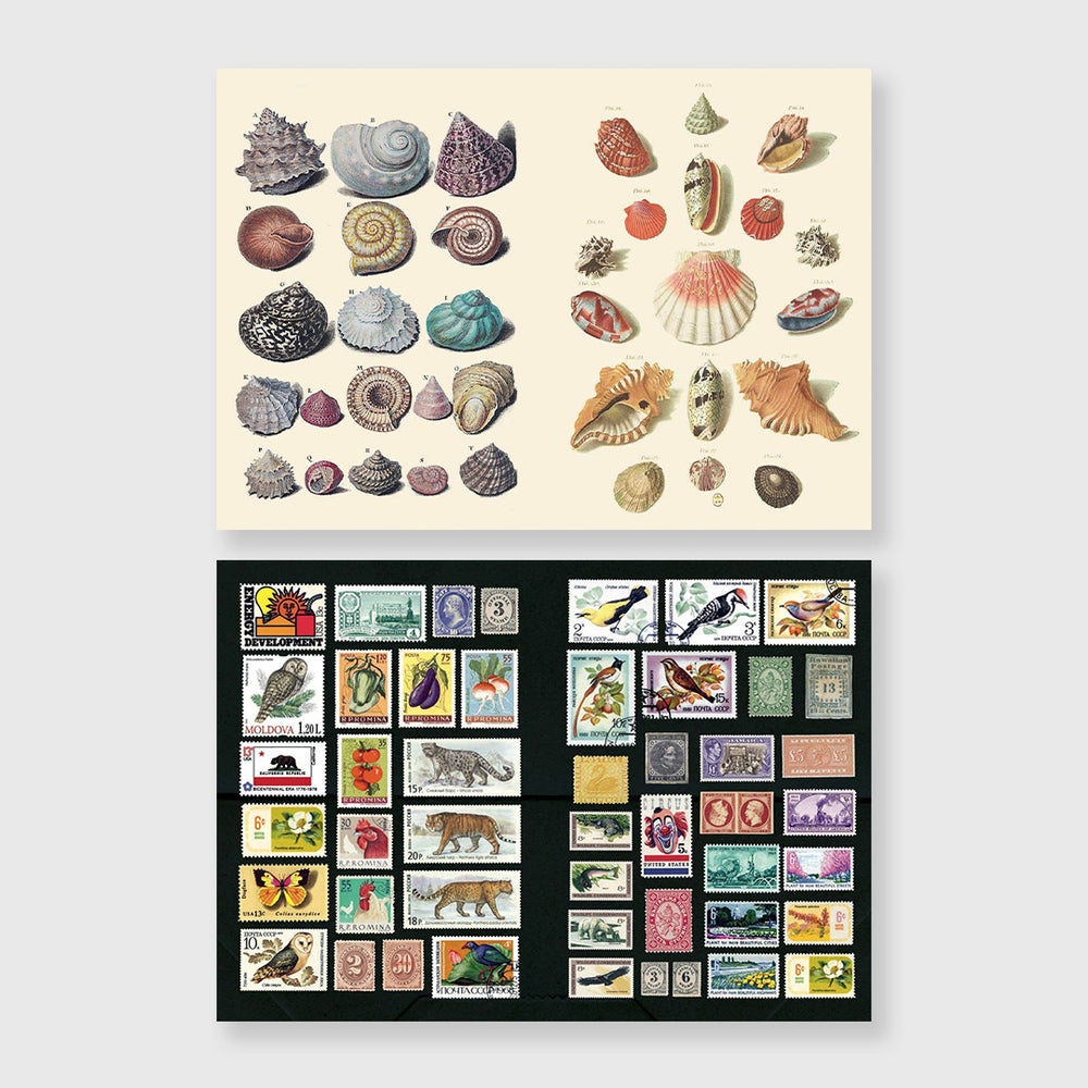 the curious collectibles sticker book – Moonlight Arts Collective