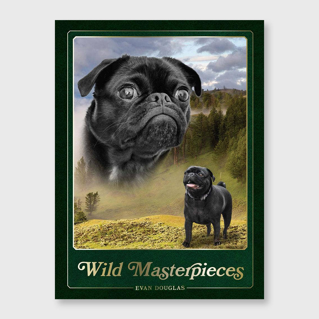 wild masterpieces