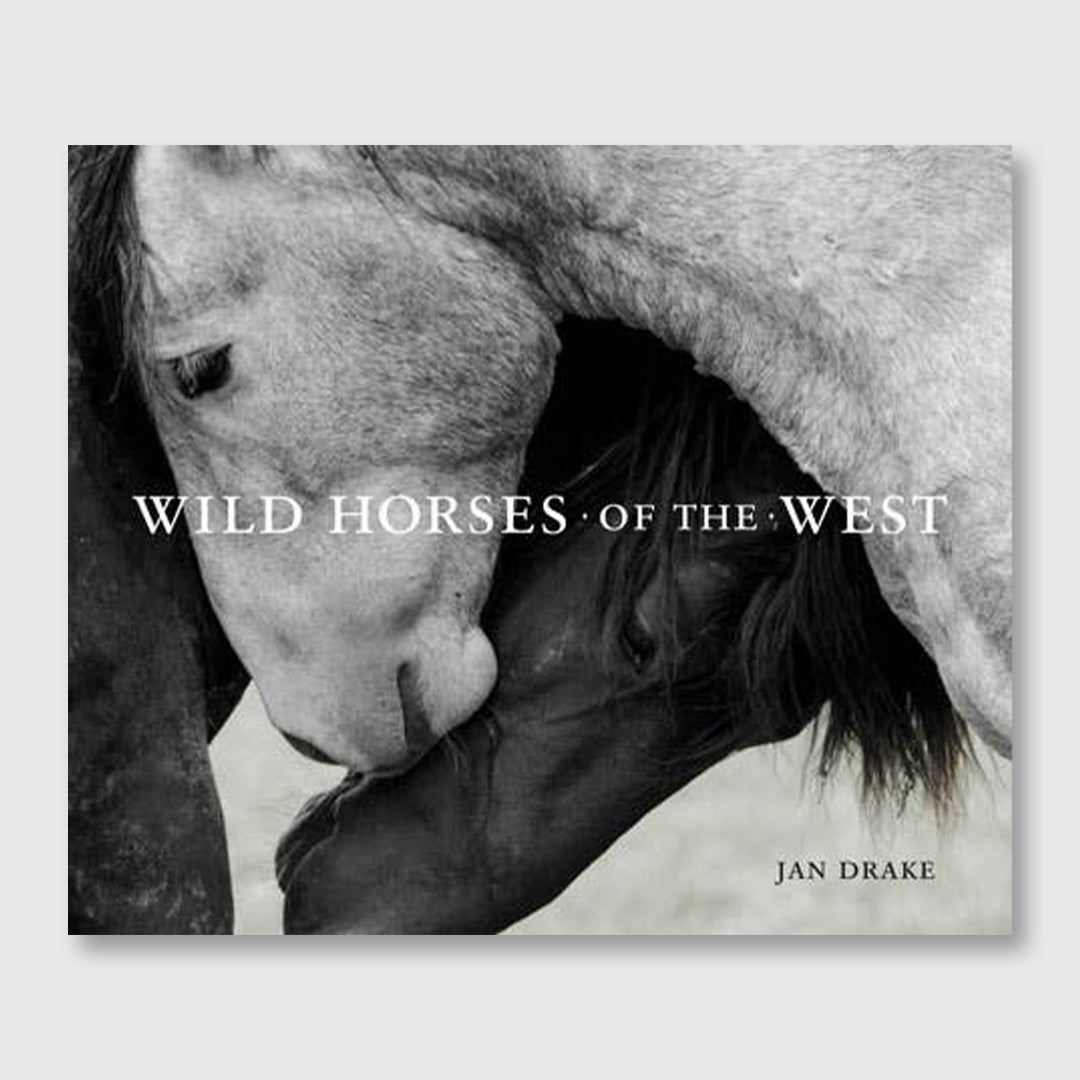 wild horses of the west