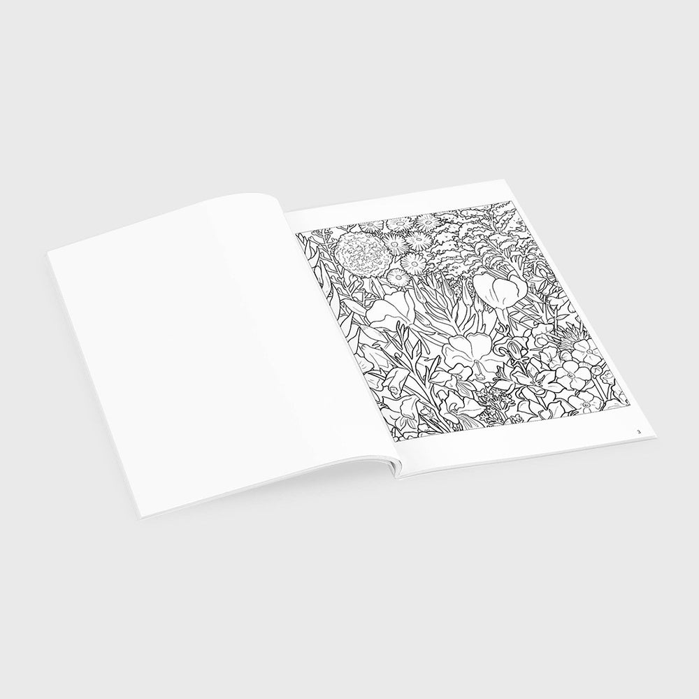 
                  
                    flower cycle coloring book
                  
                