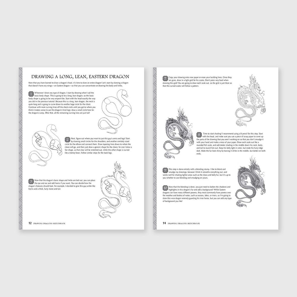 drawing dragons sketchbook