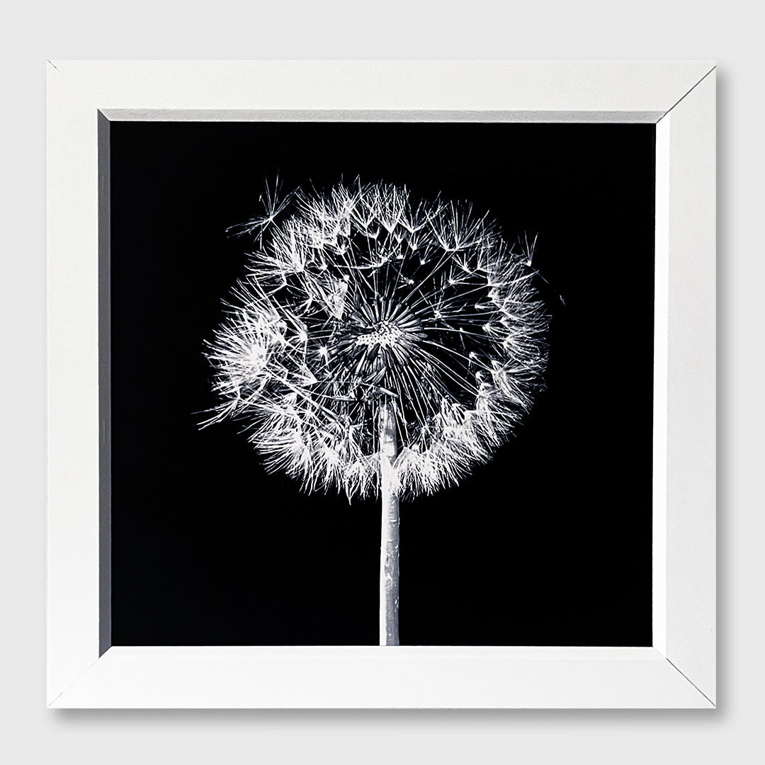 white plastic frame - 6 x 6 inch