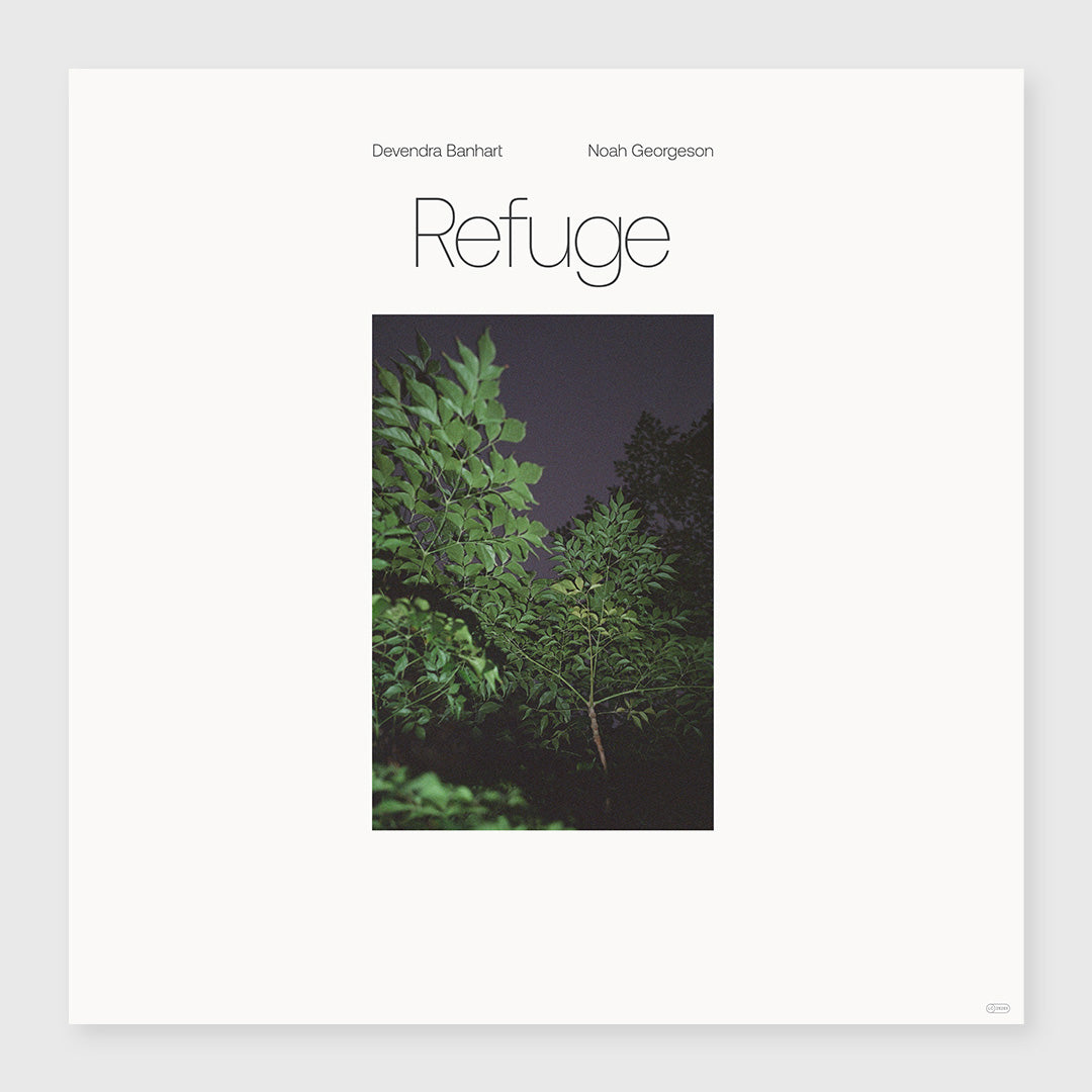 refuge - double seaglass wave vinyl