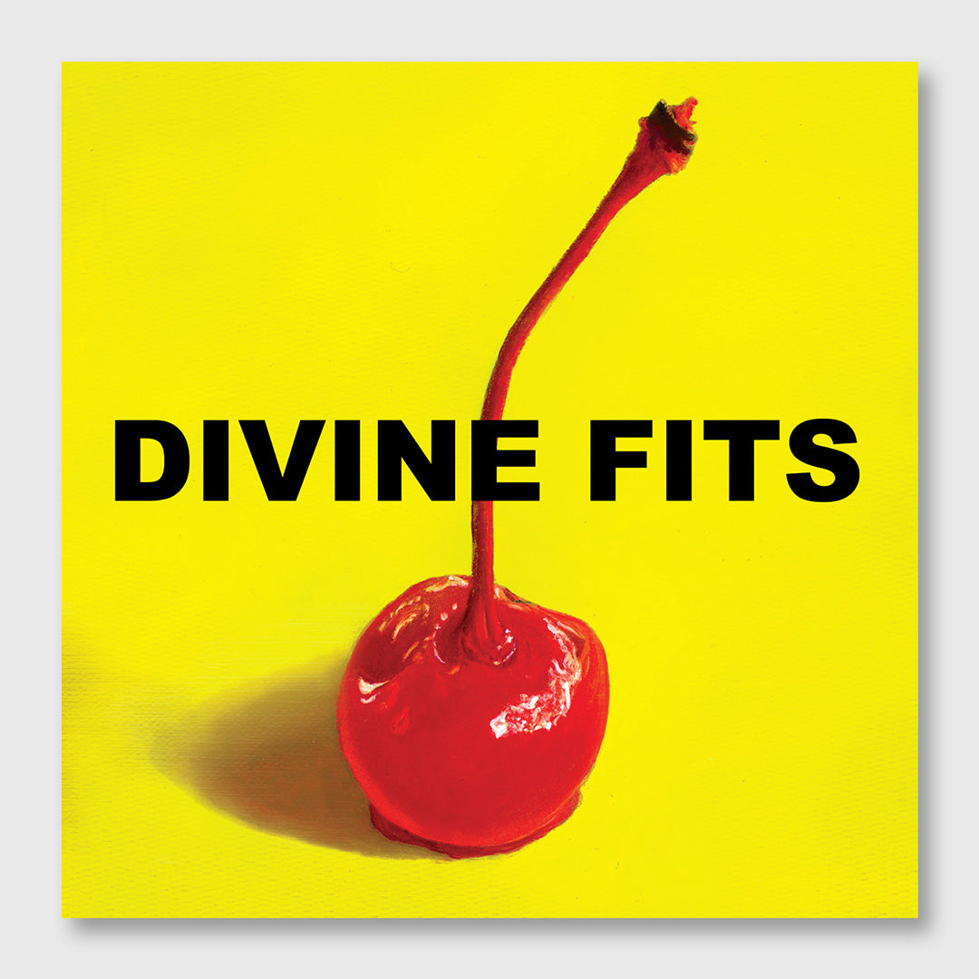 a thing called divine fits - 12 inch vinyl