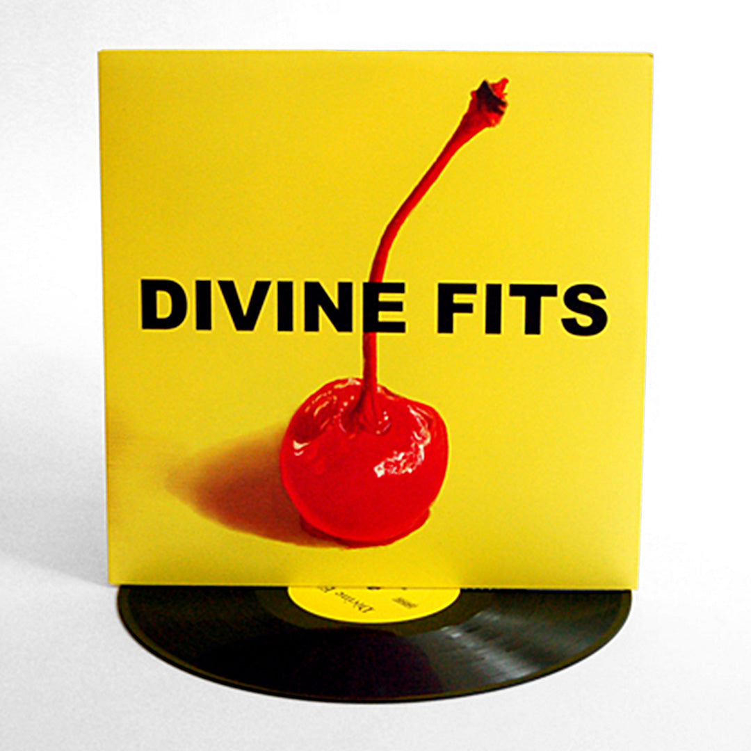 a thing called divine fits - 12 inch vinyl