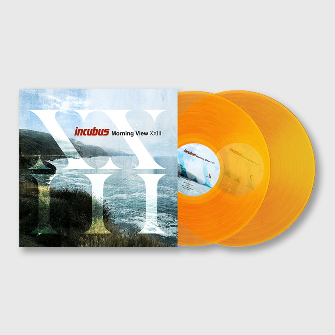 morning view xxiii - double orange crush vinyl – Moonlight Arts