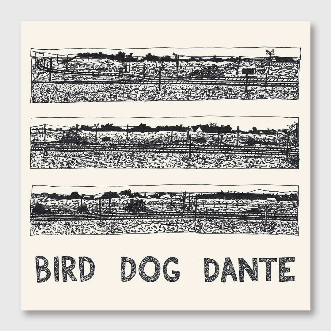 bird dog dante - 12 inch vinyl