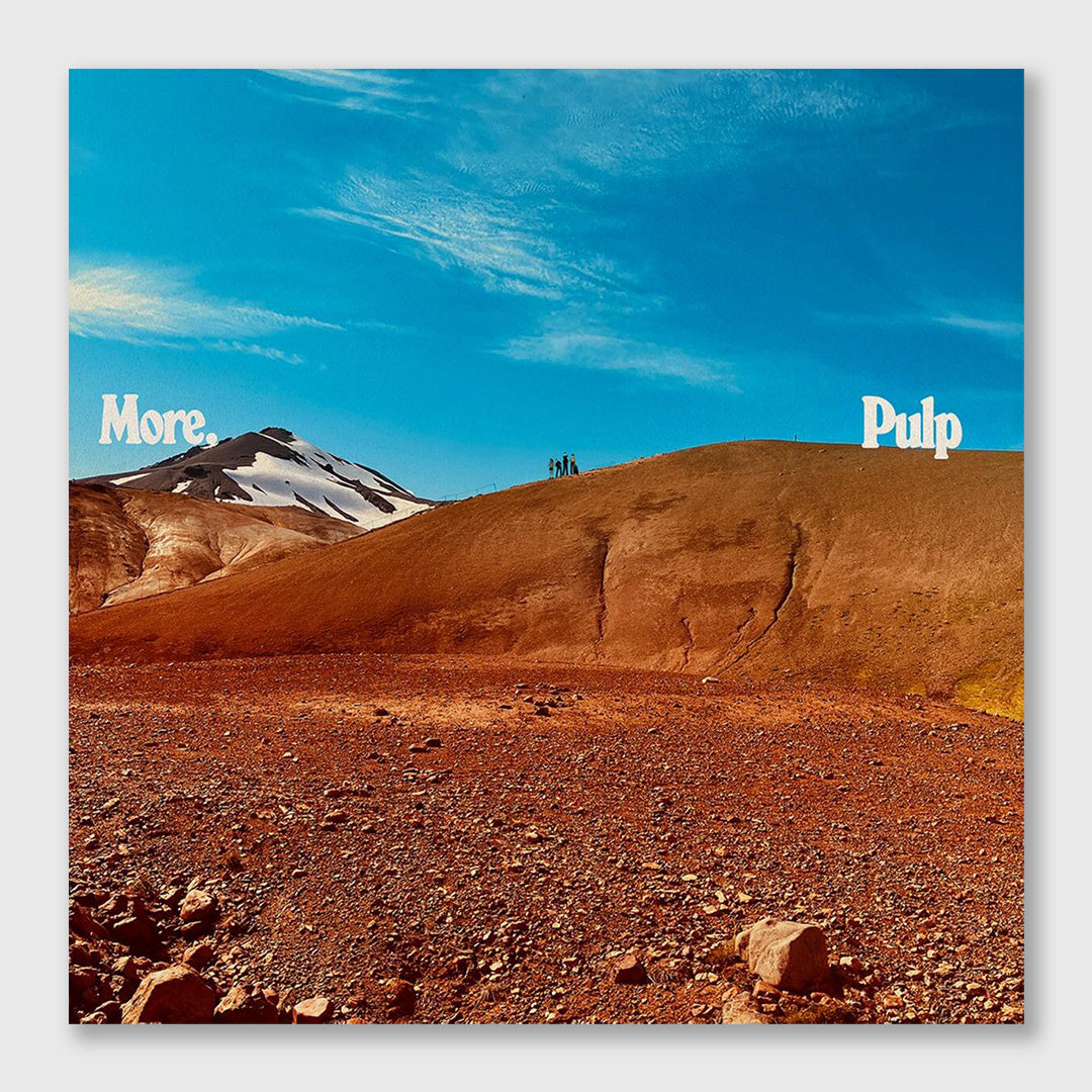 more - 12 inch vinyl