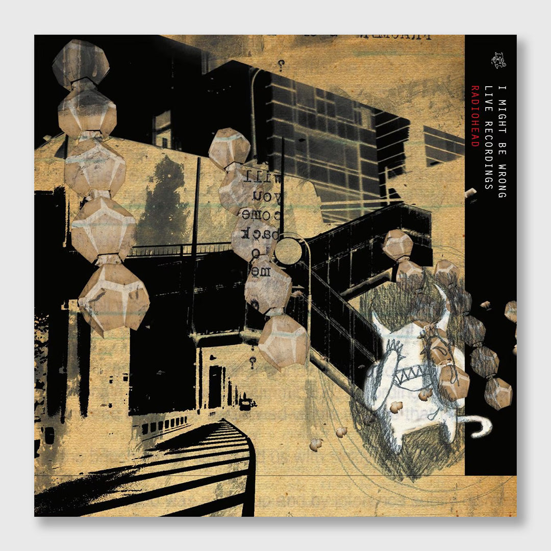 i might be wrong - 12 inch vinyl