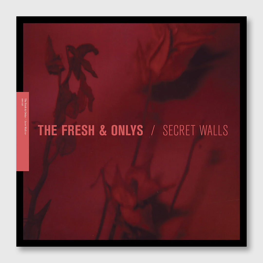 secret walls - 12 inch vinyl