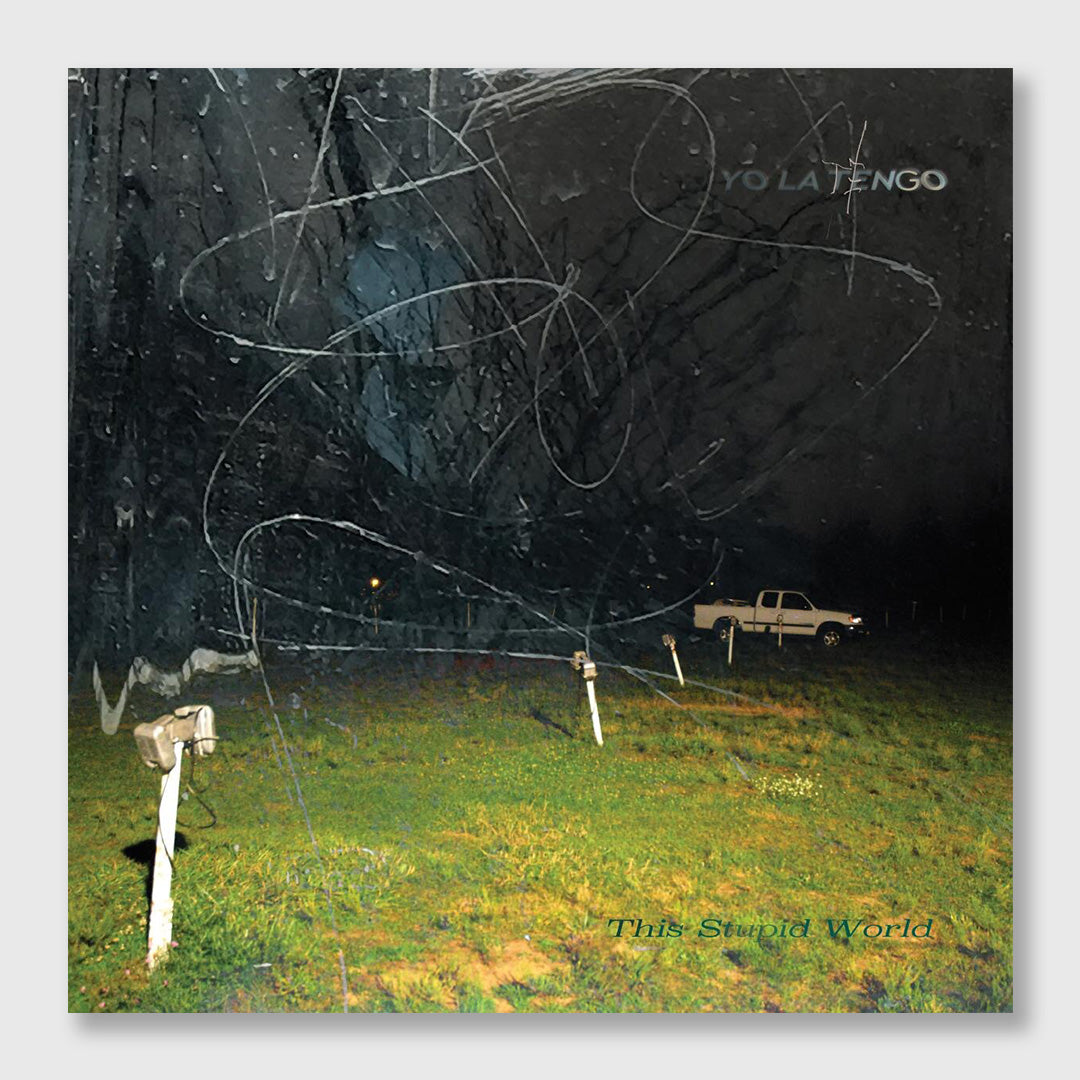 this stupid world - 12 inch double vinyl