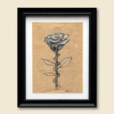 love letters - rose staircase in stylized black frame