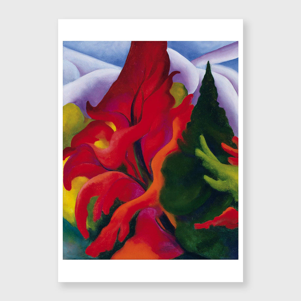 trees boxed notecard assortment