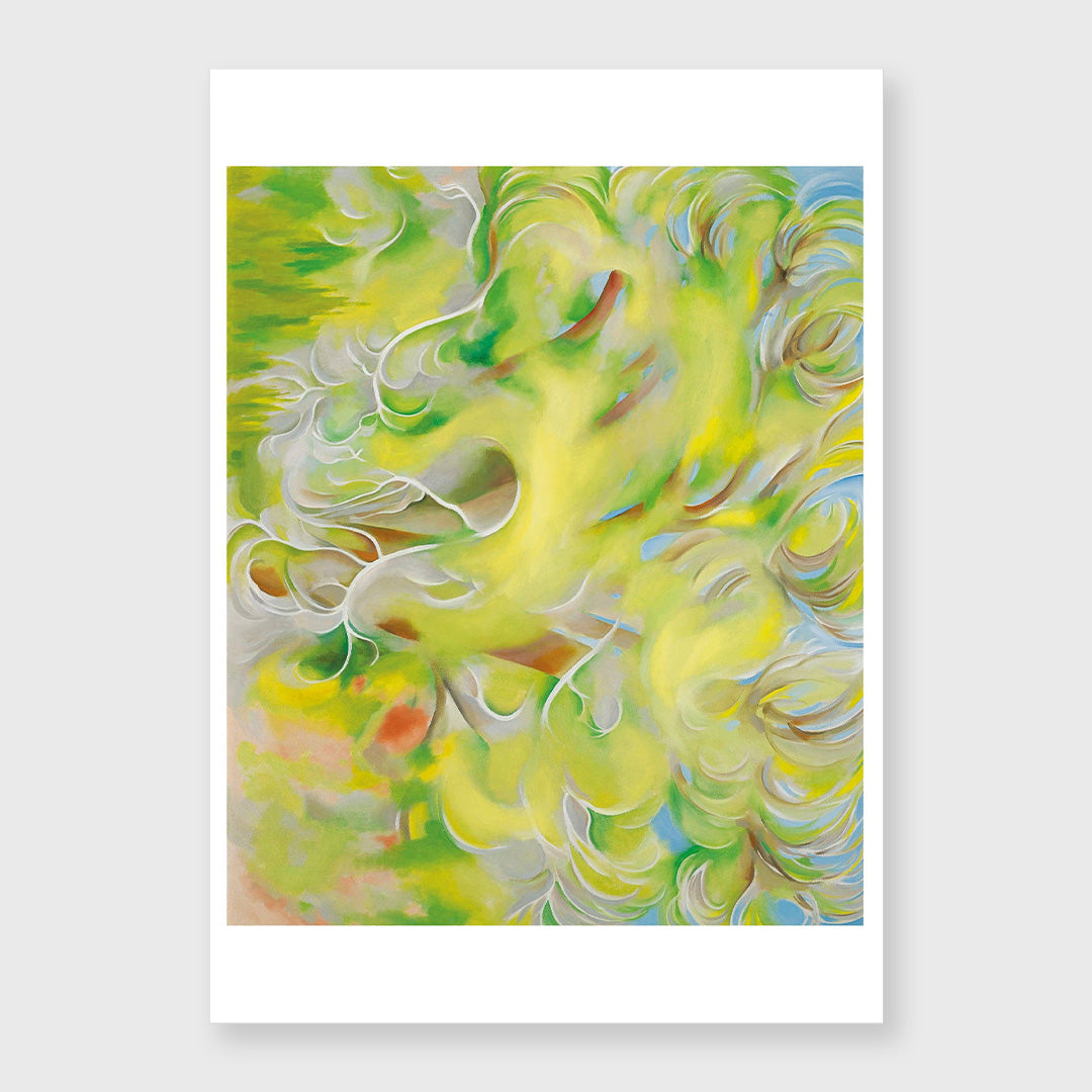 trees boxed notecard assortment