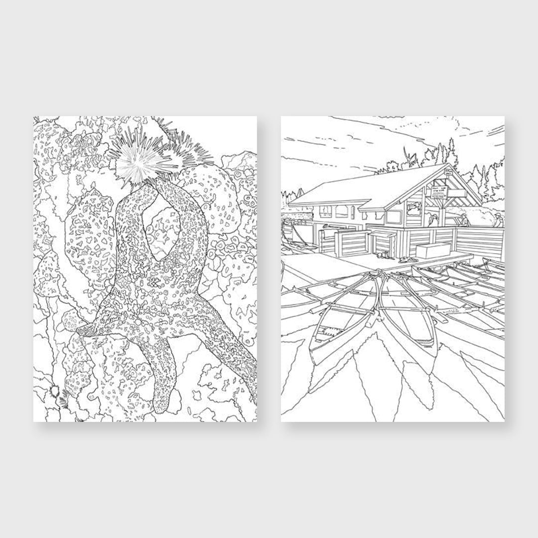 the national parks postcard coloring book