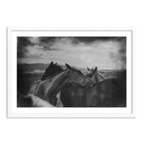 roan ranch - signed edition print